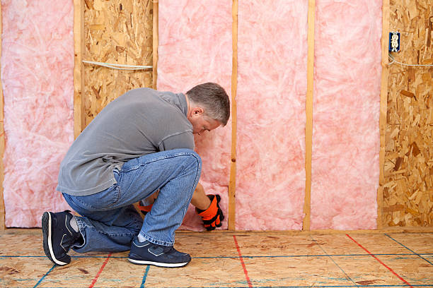 Best Cellulose Insulation in Seagraves, TX